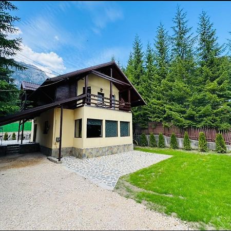 Ollie'S Mountain Chalet Busteni Exterior photo
