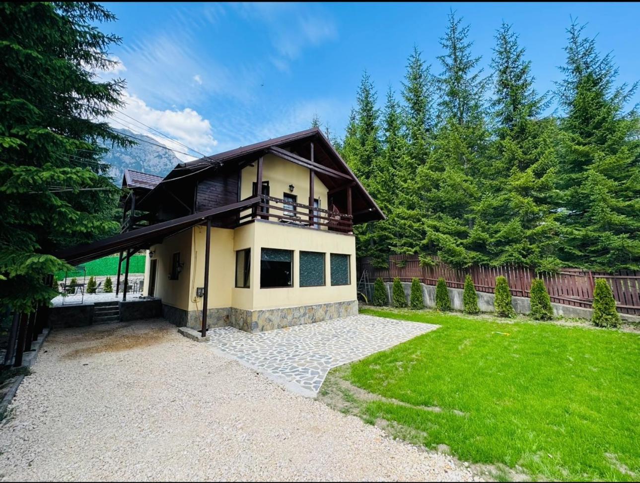 Ollie'S Mountain Chalet Busteni Exterior photo