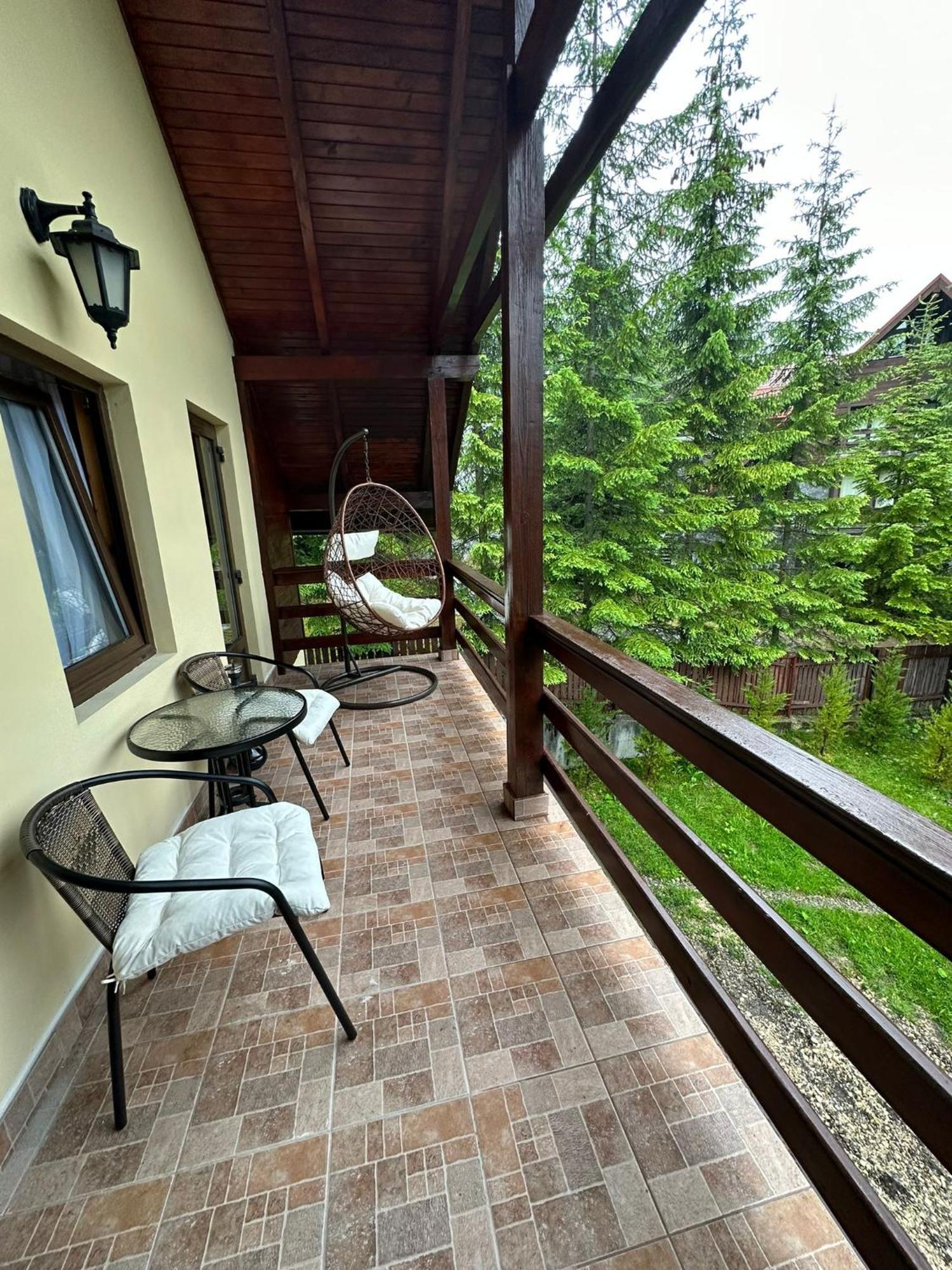 Ollie'S Mountain Chalet Busteni Exterior photo